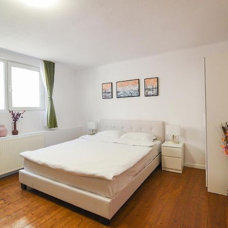 Transylvania Guest House 브라쇼브 외부 사진