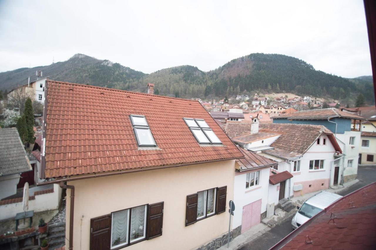 Transylvania Guest House 브라쇼브 외부 사진