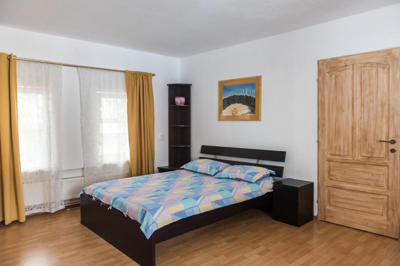 Transylvania Guest House 브라쇼브 외부 사진