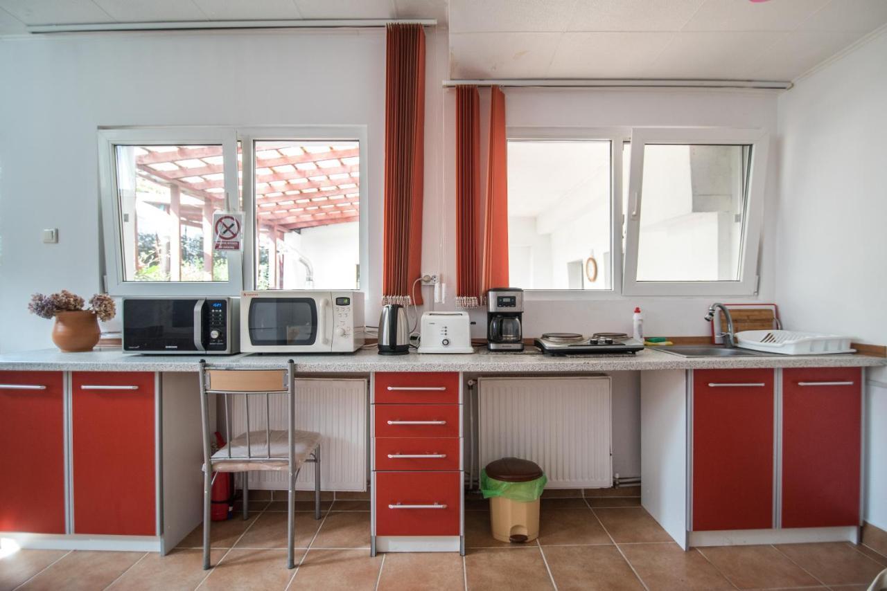Transylvania Guest House 브라쇼브 외부 사진