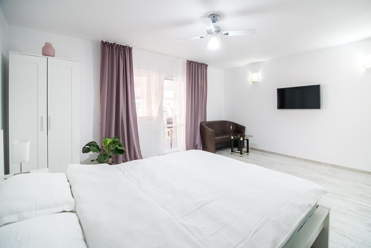 Transylvania Guest House 브라쇼브 외부 사진