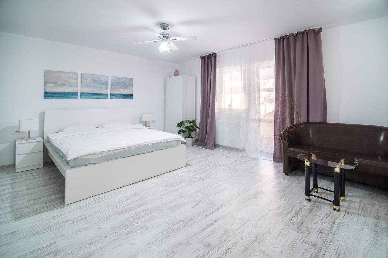 Transylvania Guest House 브라쇼브 외부 사진