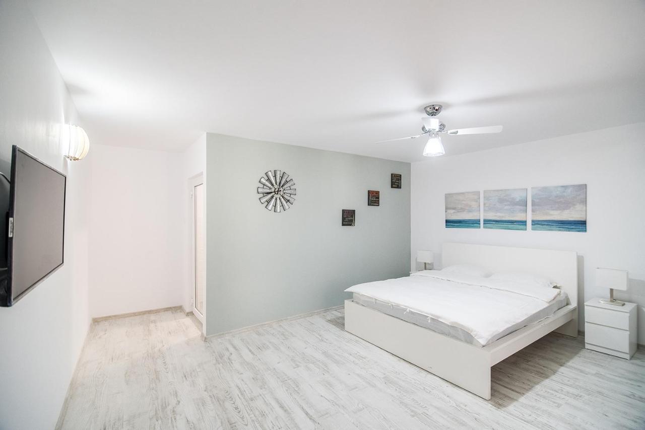 Transylvania Guest House 브라쇼브 외부 사진