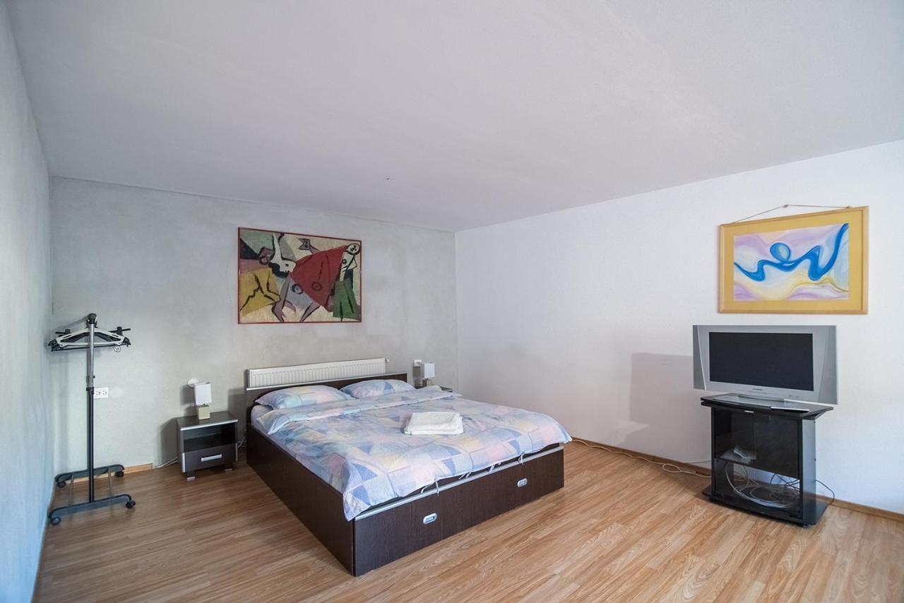 Transylvania Guest House 브라쇼브 외부 사진