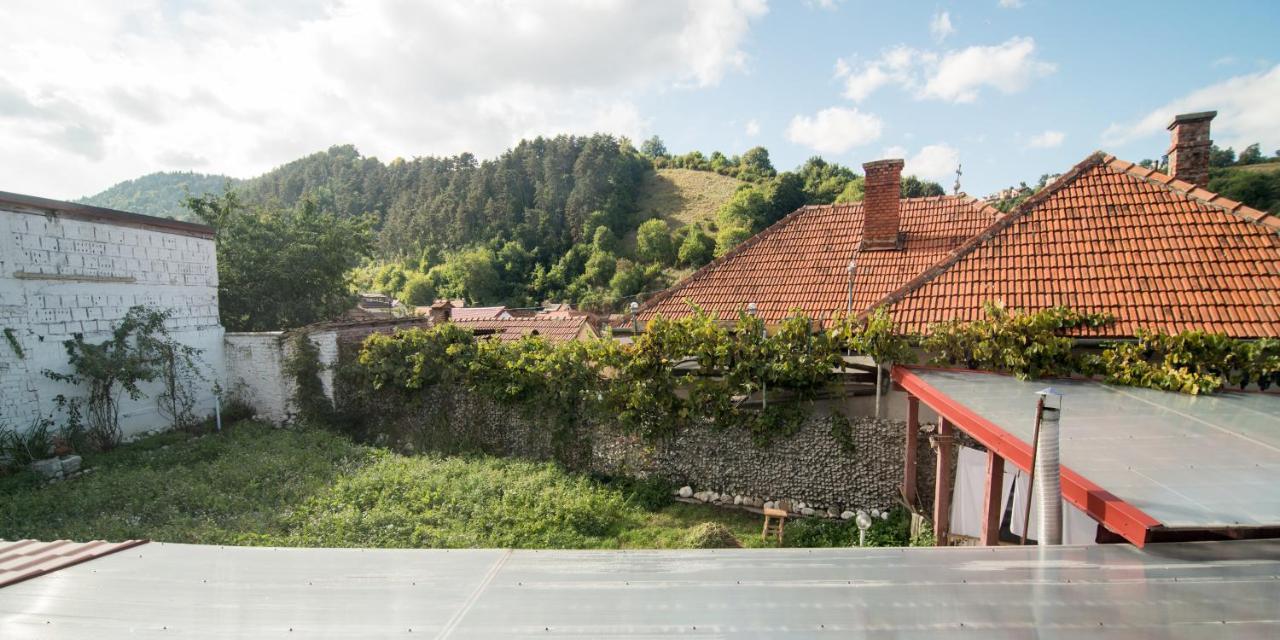 Transylvania Guest House 브라쇼브 외부 사진